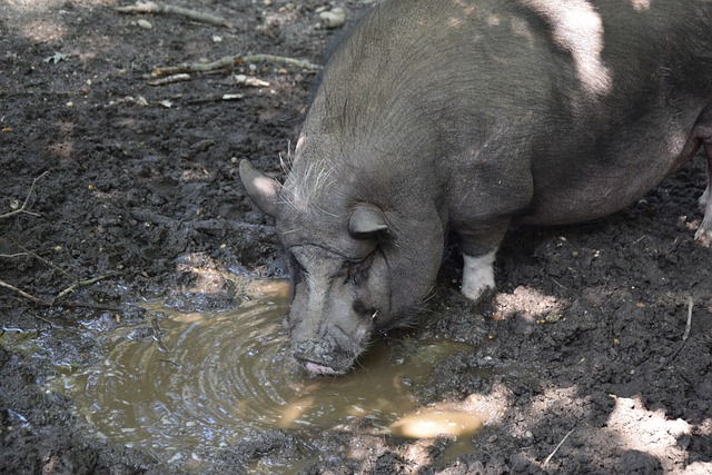 进一步巩固 进一步巩固