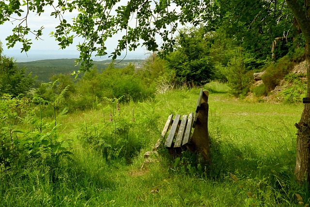 川崎前锋全 川崎前锋全